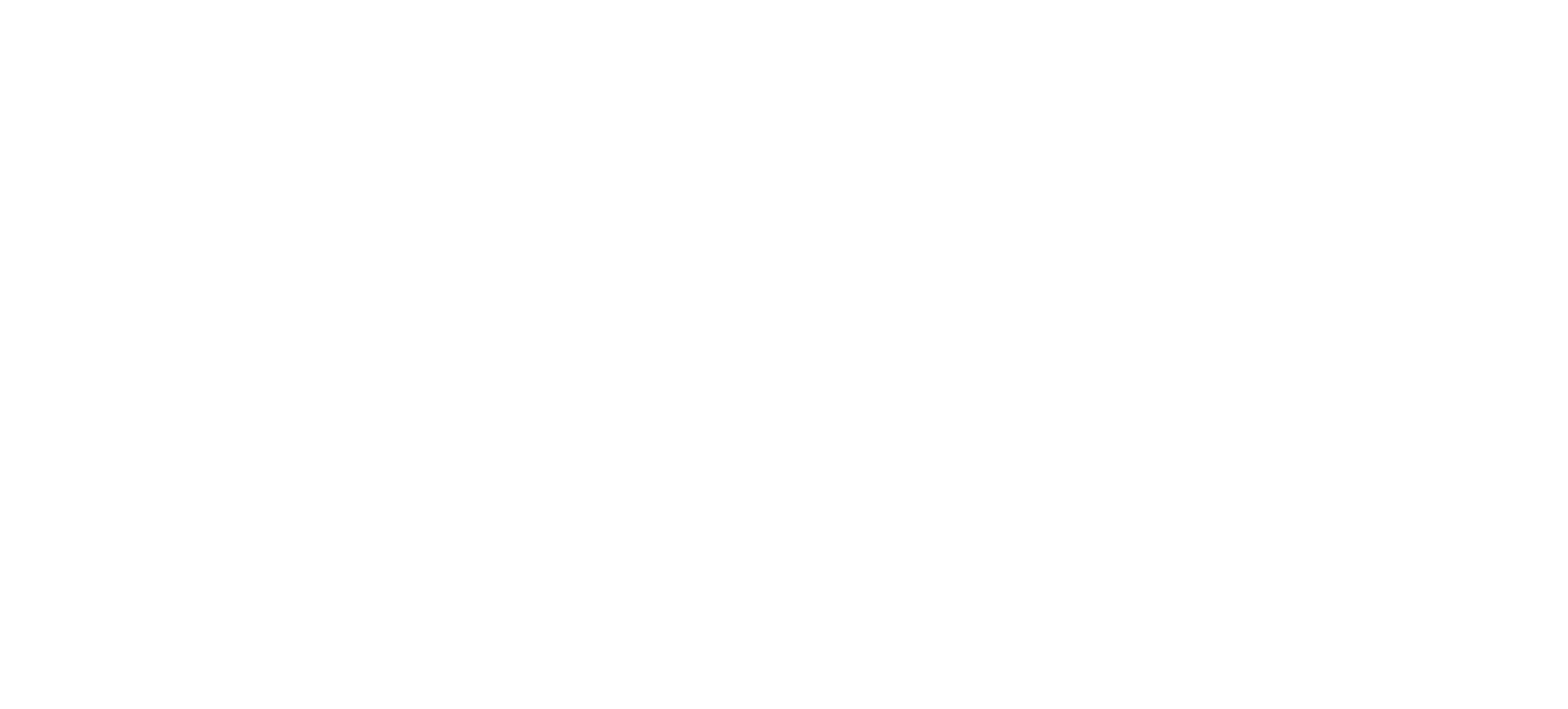 THE DESIGN