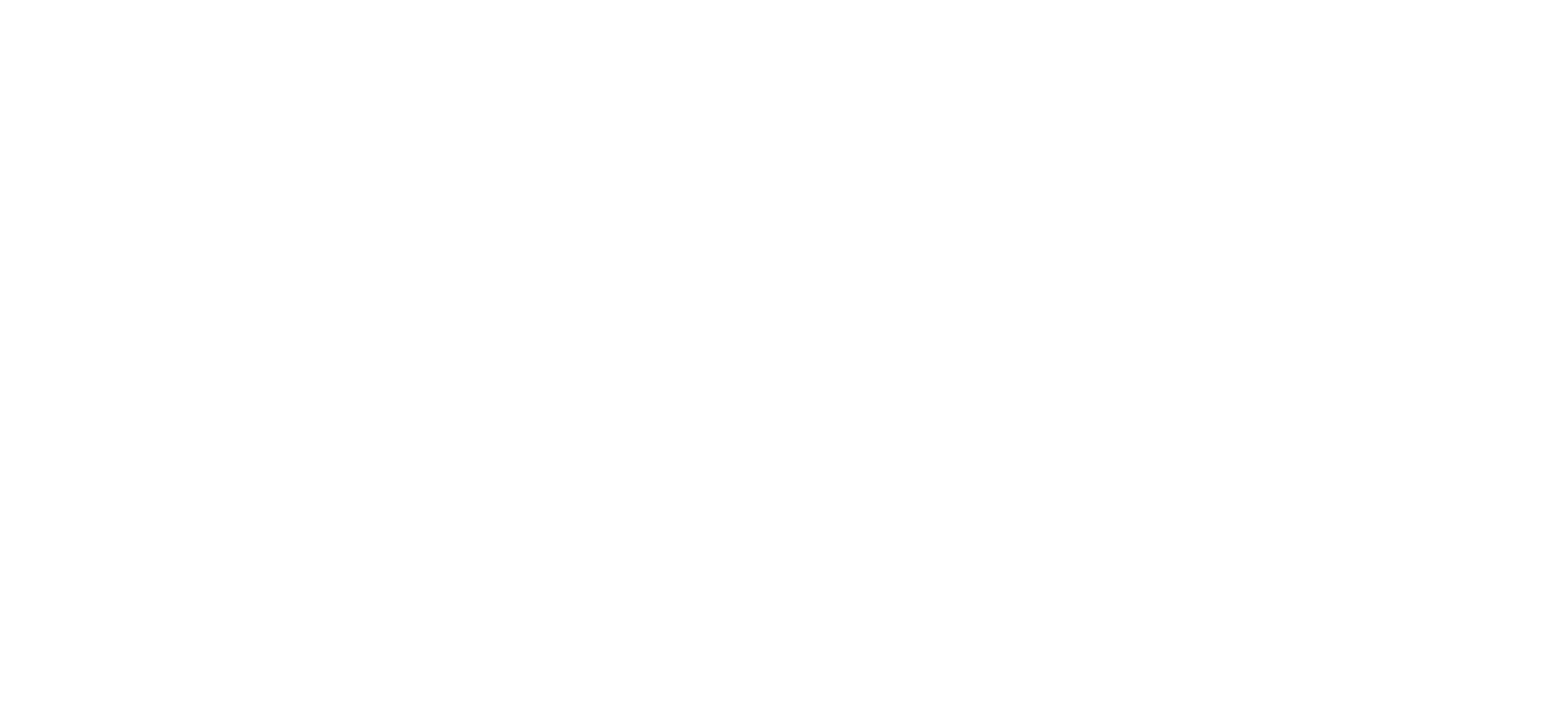 THE TYPE