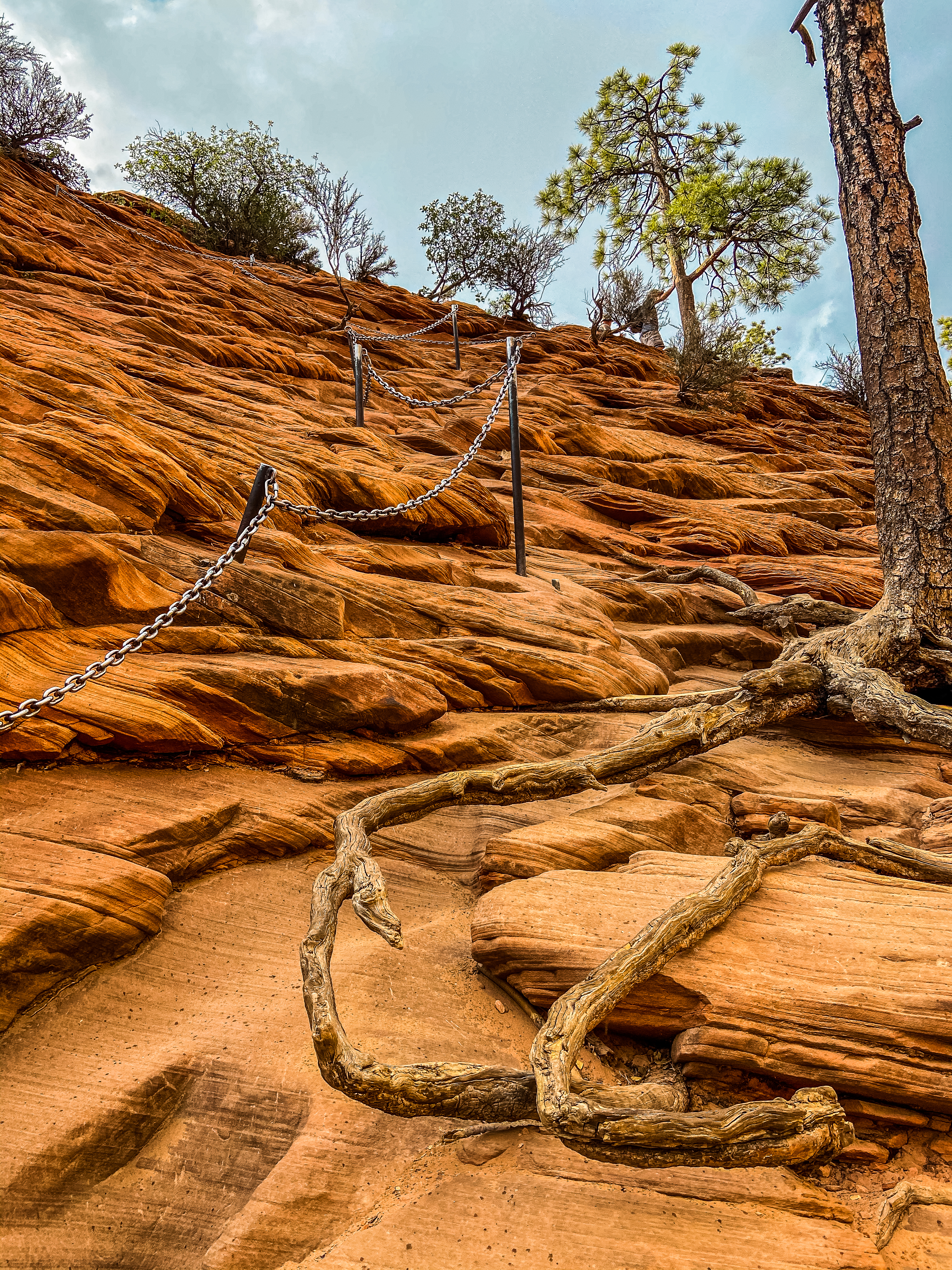 Outdoor Photography_Davis Moore_Photography